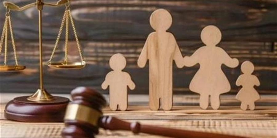 مشروع قانون الأسرة الجديد.. تفاصيل تعديلات النفقة والحضانة والرؤية