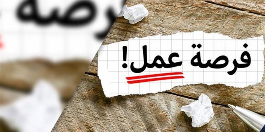 2554 فرصة عمل جديدة متاحة للشباب.. موعد وطريقة التقديم
