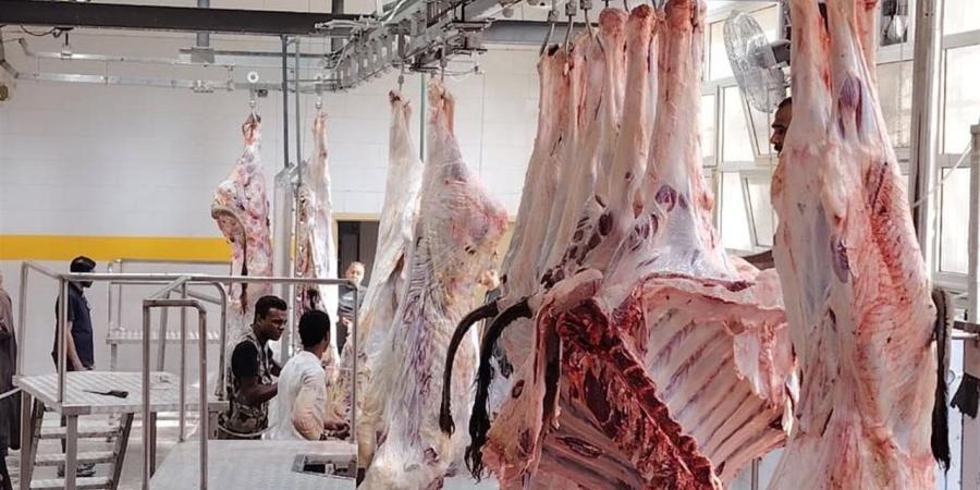 "التنمية المحلية": التشغيل التجريبي لمجزر دراو بأسوان بتكلفة 21.7 مليون جنيه