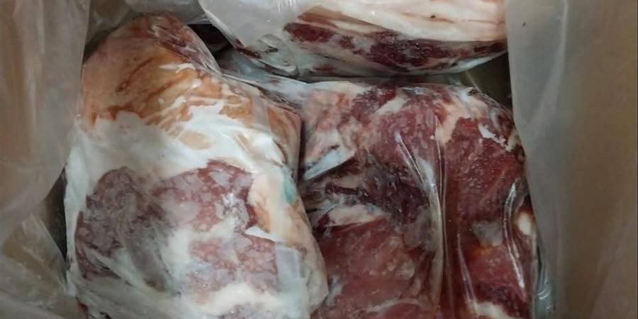 "تموين بورسعيد" تضبط 325 كيلو لحوم خنزير مخالفة للاشتراطات الصحية بحي الزهور