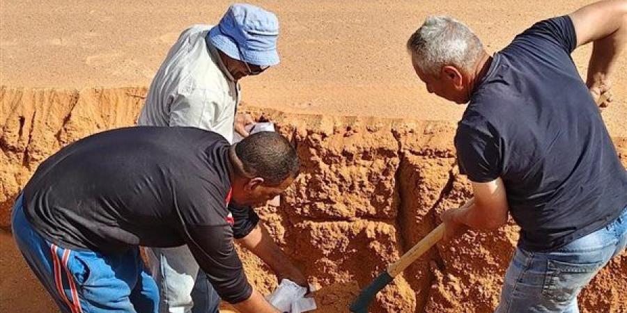 بحوث الصحراء يحدد التراكيب المحصولية المناسبة لأراضي شرق العوينات