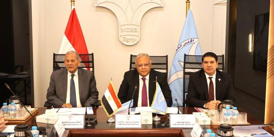 “القومي لحقوق الإنسان" يناقش تحديات الحريات العامة والحقوق الرقمية وأماكن الاحتجاز