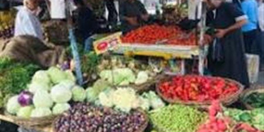 الطماطم بــ 35  والبسلة بــ 40 جنيهًا بأسواق المنيا