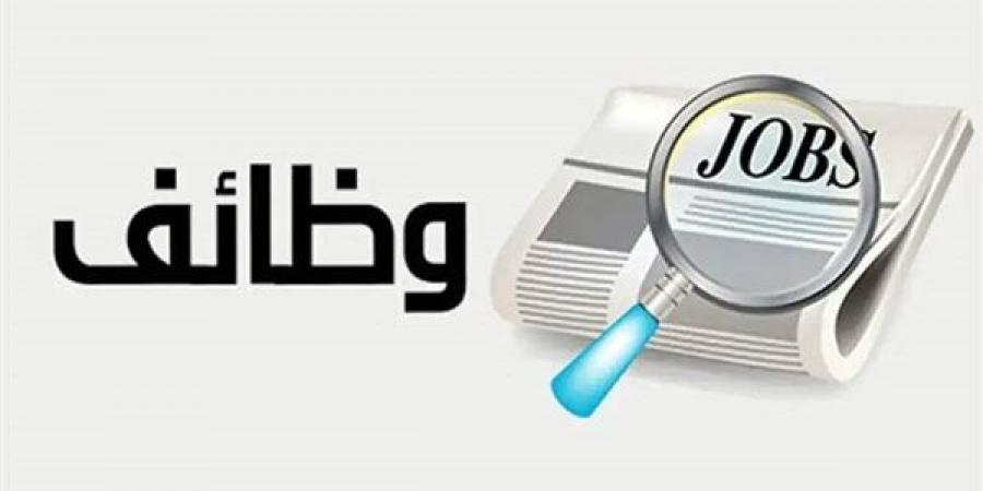 2554 وظيفة جديدة للشباب من وزارة العمل.. التفاصيل