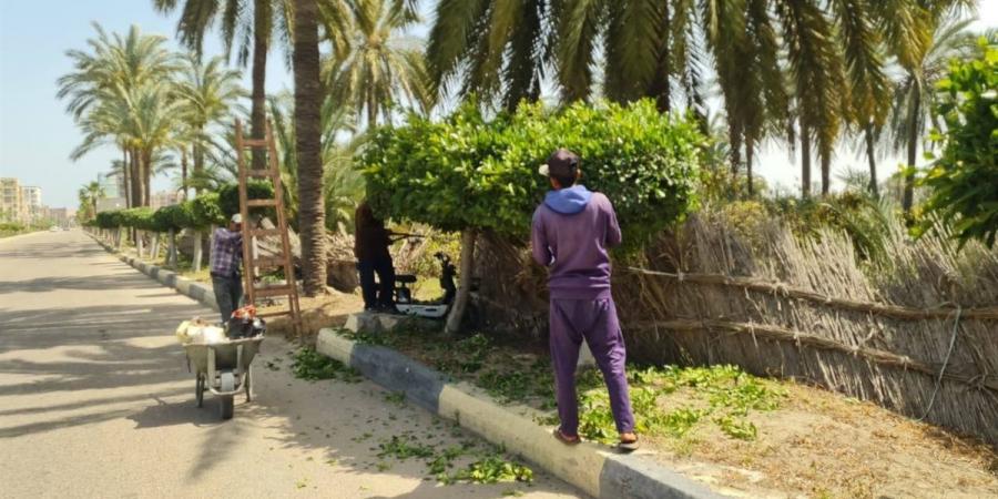 محافظ كفرالشيخ يتابع جهود النظافة والتجميل برفع كفاءة مدخل النرجس ببلطيم