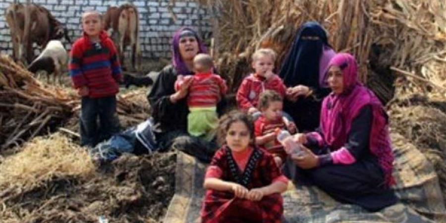 26.9 مليون أسرة في مصر.. والإحصاء: الريف يستحوذ على نسبة السكان الأكبر