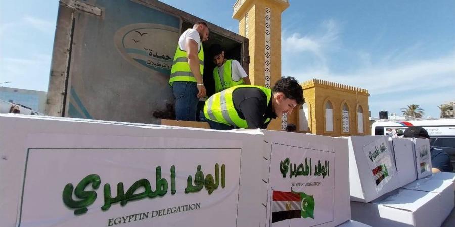 خلال اليوم الأول بشمال سيناء.. قافلة "الوفد" الطبية تعالج عشرات الحالات في التخصصات النادرة