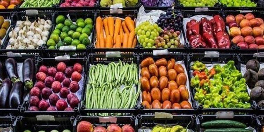 رئيس اتحاد الفلاحين: صادرتنا الزراعية وصلت 4مليون طن منذ بداية العام وحتي الان