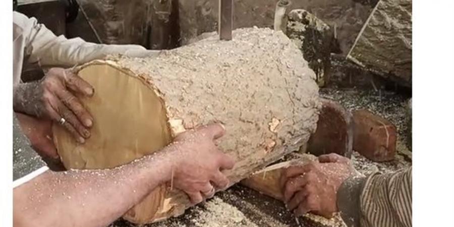 قبل العيد.. رحلة صناعة الأورمة من جذوع الأشجار إلى محلات الجزارة (فيديو)