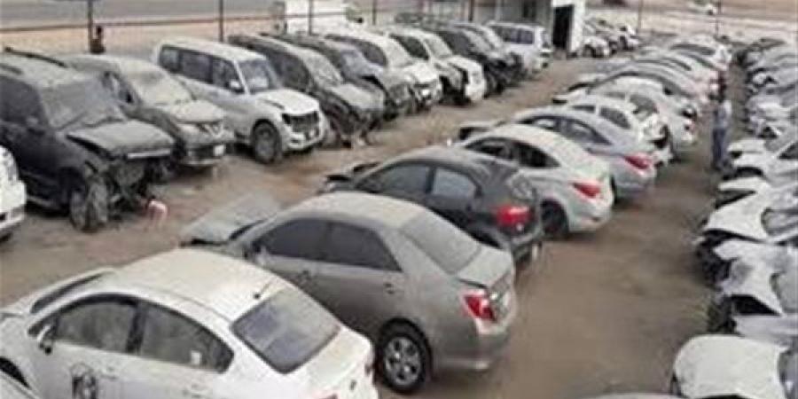٨٢ مليون و٦٥٥ ألف جنيه حصيلة البيع بجلسة مزاد ١٤ مايو ٢٠٢٦ لسيارات وبضائع جمارك بالإسكندرية