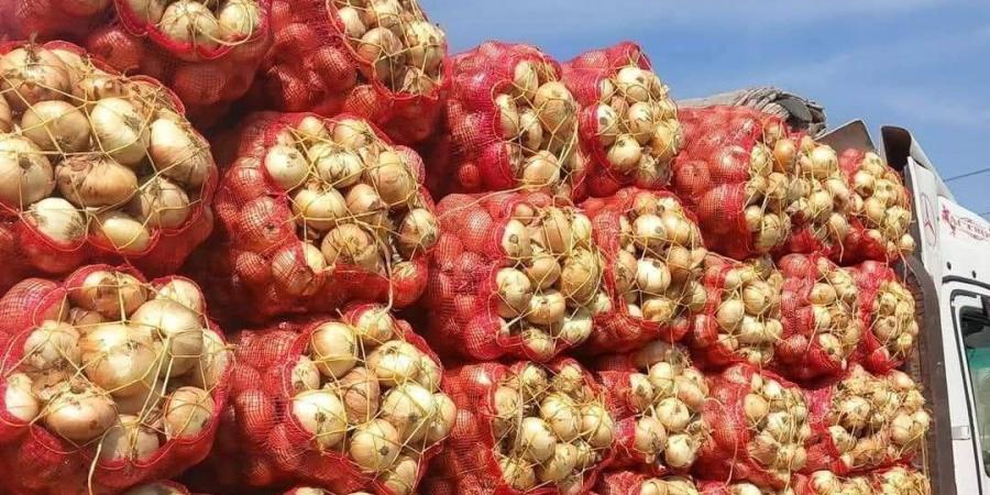 استمرار ارتفاع أسعار الخضروات والفاكهة بأسواق الفيوم