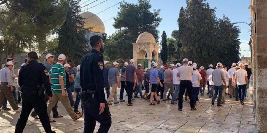 محاولة لفرض واقع جديد.. مستعمرون يقتحمون المسجد الأقصى بحماية جيش الاحتلال