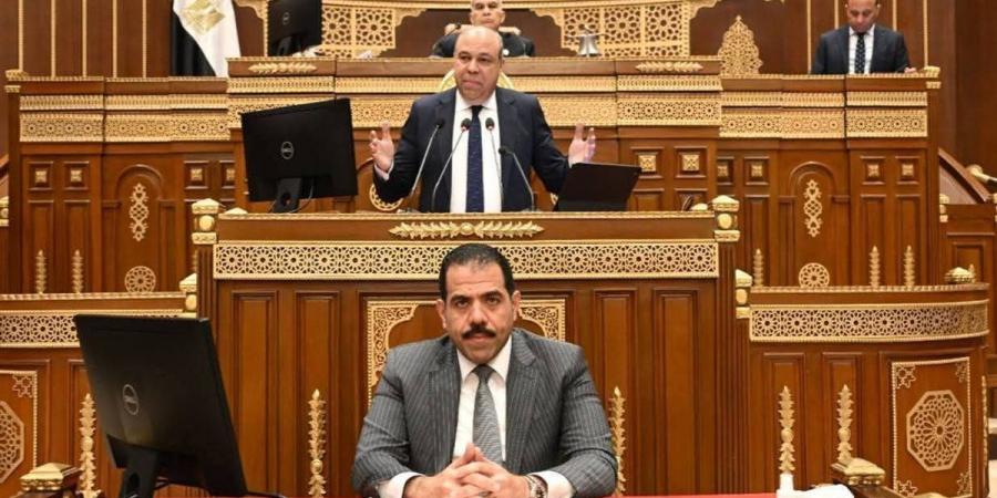 وزير الطيران أمام "الشيوخ": لا بيع للمطارات.. وخطة لرفع أسطول مصر للطيران