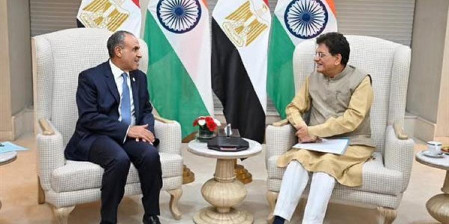 عبد العاطي يلتقي وزير التجارة والصناعة الهندي على هامش اجتماع وزراء خارجية البريكس