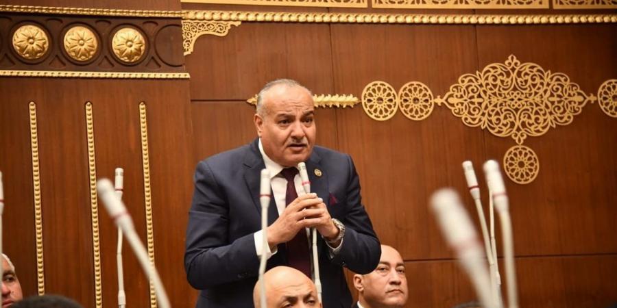 محمد نوح: "الدلتا الجديدة" خطوة استراتيجية لتعزيز الأمن الغذائي والتنمية الشاملة