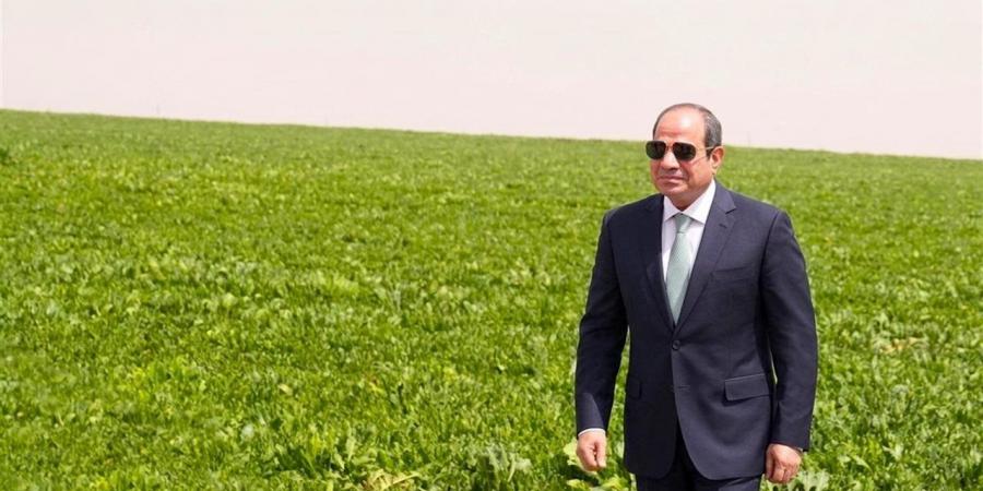علي إسماعيل: "الدلتا الجديدة" مشروع استراتيجي لمواجهة تحديات الغذاء والمياه