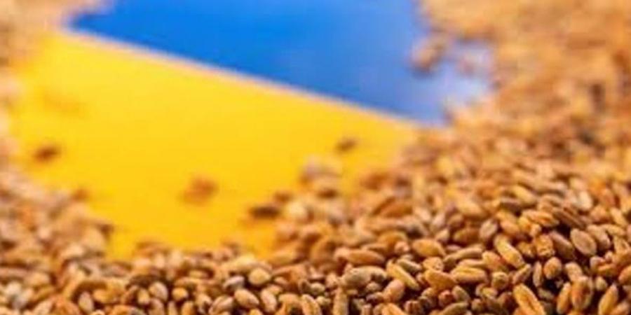أسعار الحبوب العالمية.. تراجع القمح والذرة وارتفاع الشوفان تاثيرا بالمناخ
