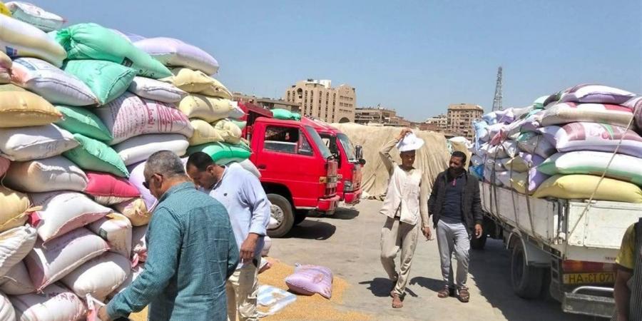 محافظ سوهاج: تسلم 136 ألف طن قمح واستبعاد 2066 طنًا غير مطابق للمواصفات