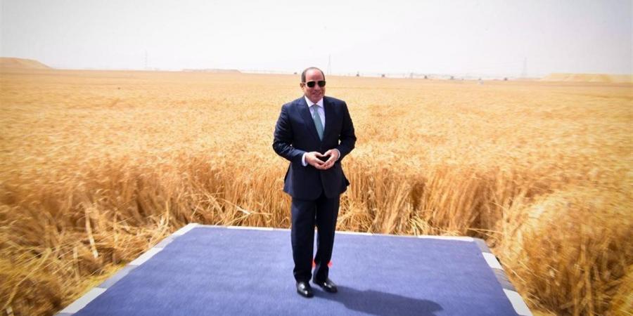وكيل دفاع النواب: "الدلتا الجديدة" عبور جديد في مسيرة التنمية الوطنية