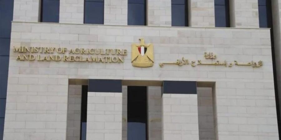 الزراعة: متابعة مكثفة لحصاد القمح وتجهيز الزراعات الصيفية بمحطة بحوث سخا