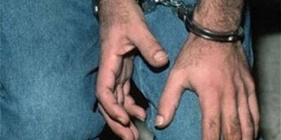 الداخلية تكشف ملابسات فيديو "بلطجة" الزيتون