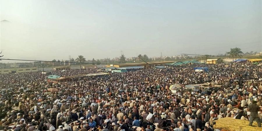 ​بسبب إقبال عيد الأضحى.. حملات مكثفة لتنظيم سوق المواشي بدمنهور