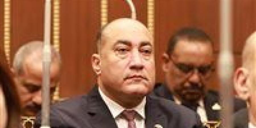النائب عمرو رشاد: الرئيس السيسي وضع المصريين أمام حجم الإنجاز الحقيقي في مشروع الدلتا الجديدة