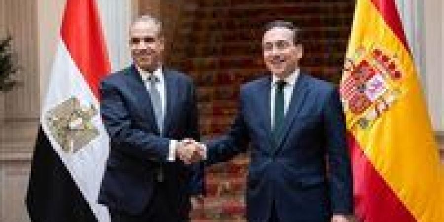 وزير الخارجية: أمن واستقرار منطقة القرن الأفريقي امتداد مباشر للأمن القومي المصري