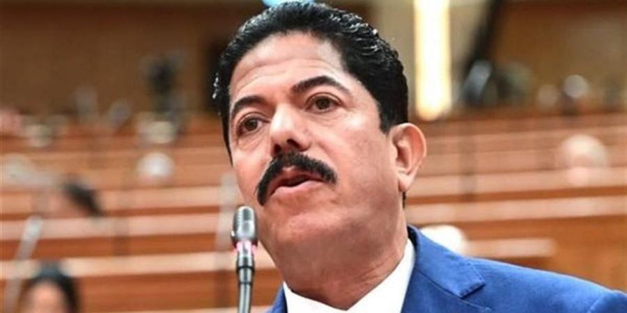 برلمانى: مصر موقفها ثابت فى دعم وحدة ليبيا والحفاظ على مؤسساتها الوطنية الشرعية