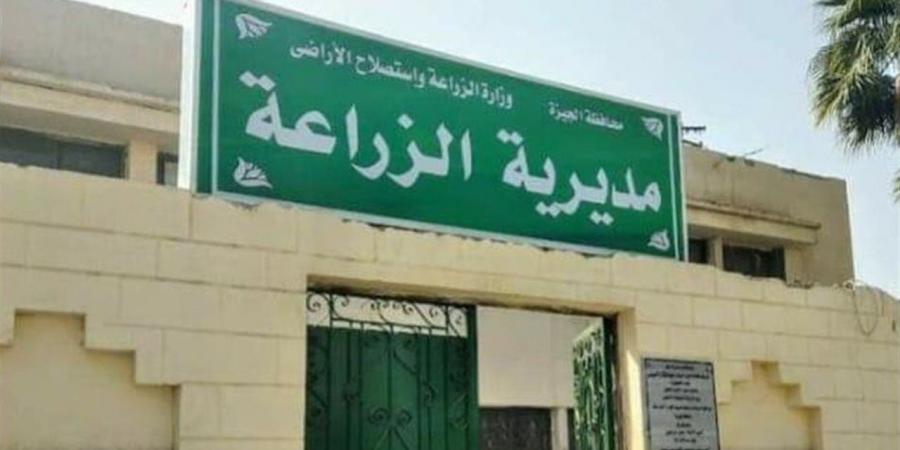 "زراعة الجيزة" تبدأ الاستعدادات للحملة القومية لمكافحة القوارض