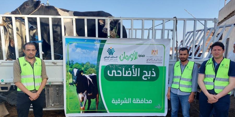 توزيع لحوم 50 عجلًا بلديا على الأسر الأولي بالرعاية الشرقية