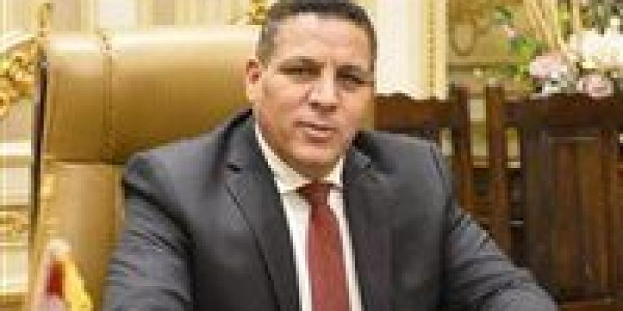 برلماني: لقاء وزير الصناعة مع الغرفة الفرنسية يعزز جذب الاستثمارات ويدعم نهضة الصناعة المصرية