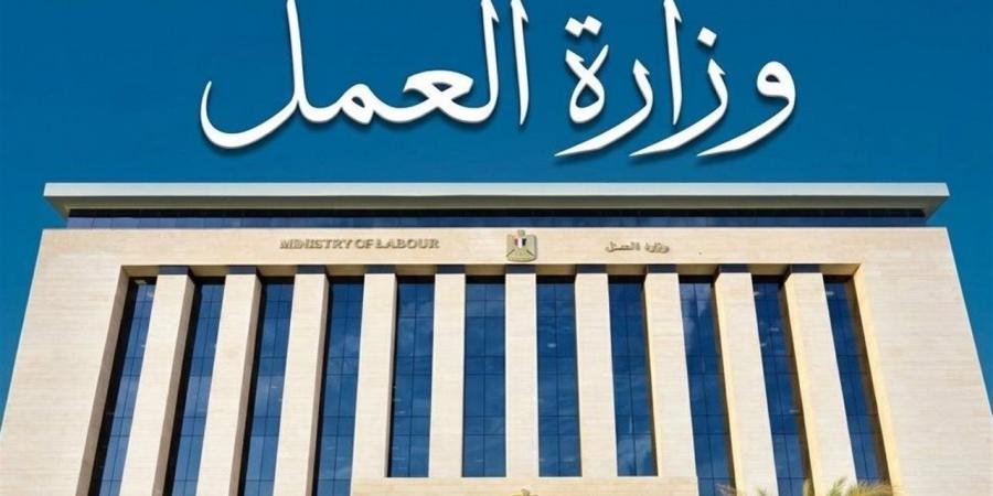 حملات رقابية مكثفة لمديرية العمل بالإسماعيلية لضبط مخالفات المنشآت