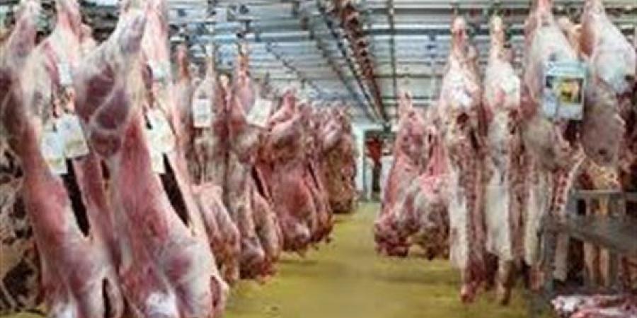 لماذا يجب ترك الذبيحة معلقة في الهواء بعد السلخ؟.. رئيس قطاع التجارة الداخلية السابق يُجيب