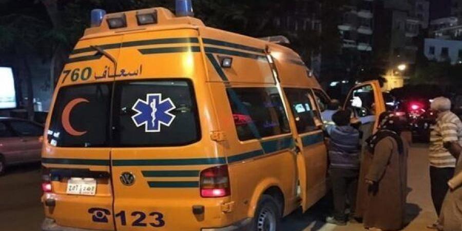 ضبط سائق أتوبيس اصطدم بشخص ونجلته في الدقهلية