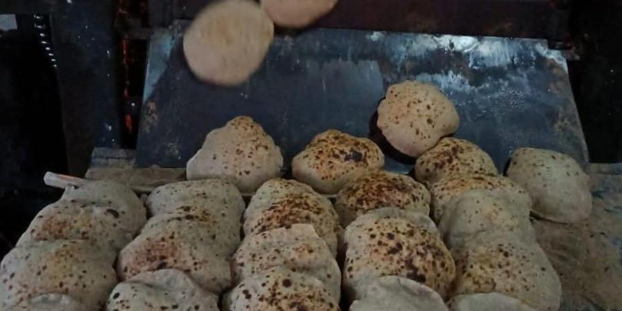 ضبط دقيق مدعم وتحرير 57 محضرًا ضد المخابز بالفيوم
