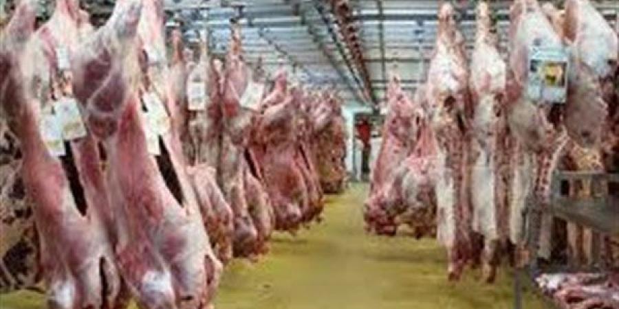 رئيس قطاع التجارة الداخلية السابق: بيع لحم "البتلو" ممنوع قانونًا منذ 2016