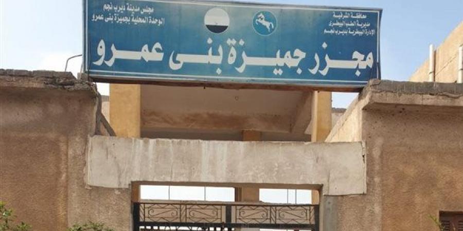 بيطري الشرقية: جاهزية قصوى بالمجازر استعدادًا لعيد الأضحى 2026