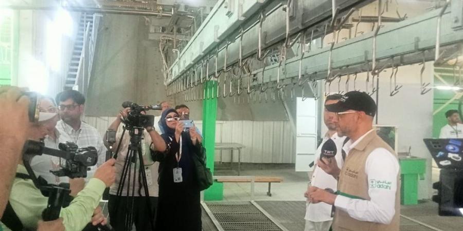 مليون رأس من الأغنام.. هدى وأضاحى الحجاج هذا العام