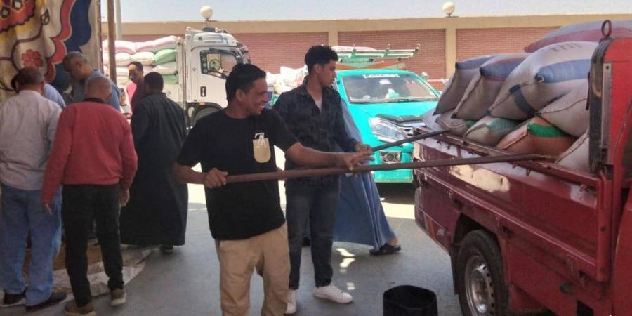 توريد 206 ألف طن من القمح بصوامع الفيوم
