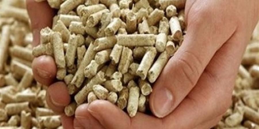 أسعار الأعلاف في محافظة الغربية اليوم السبت 23 مايو 2026