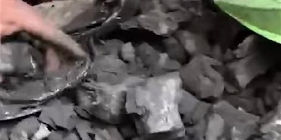 قبل العيد.. أغلى وأرخص كيلو فحم يبدأ من 35 ويوصل لـ 100 جنيه