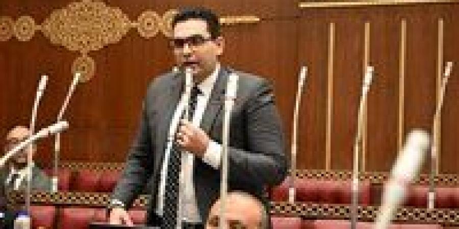 نائب بالشيوخ: مشروع قانون لإلزام المباني الجديدة بالطاقة الشمسية خطوة مهمة لدعم رؤية مصر 2030