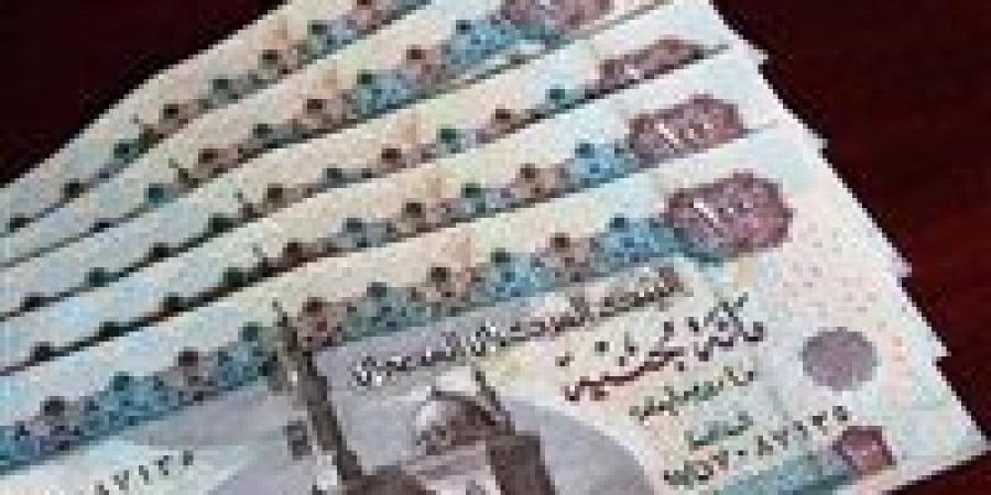 زيادة المعاشات 2026.. موعد التطبيق والنسبة المتوقعة