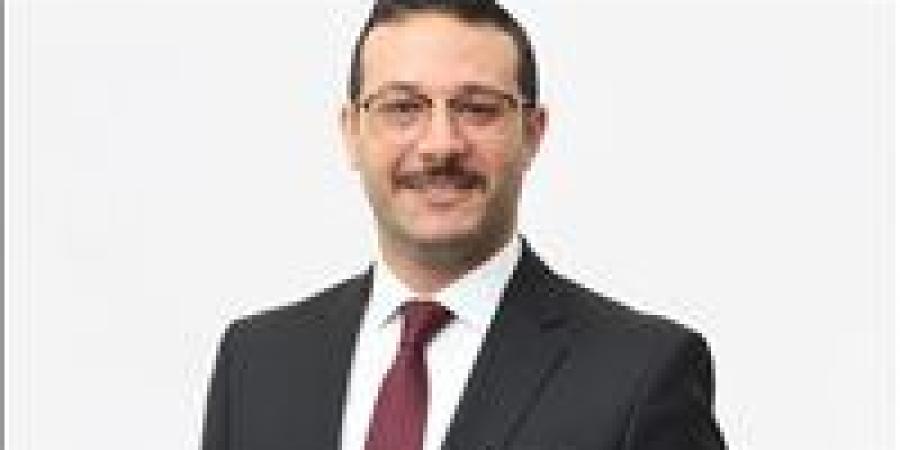 طاهر أبو زيد يكتب: الكادر الذي نحتاجه.. سياسي أم مهني؟