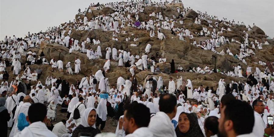 التضامن: نجاح تصعيد حجاج الجمعيات الأهلية إلى عرفات وسط متابعة لحظية
