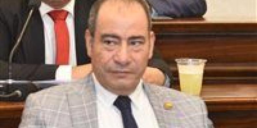 مجاهد نصار: مصر تعزز حضورها الإقليمي عبر تحركات دبلوماسية فاعلة لاحتواء أزمات المنطقة