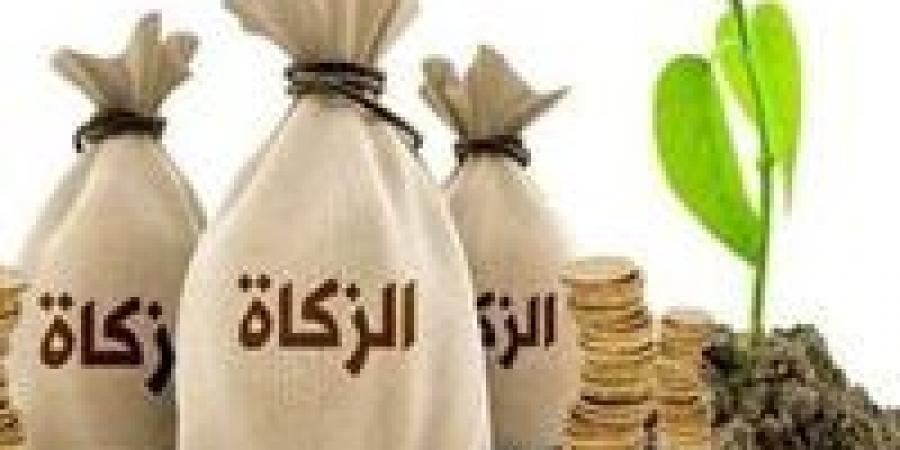 هل يجوز إخراج زكاة المال المتأخرة على أقساط؟.. أمين الفتوى يجيب