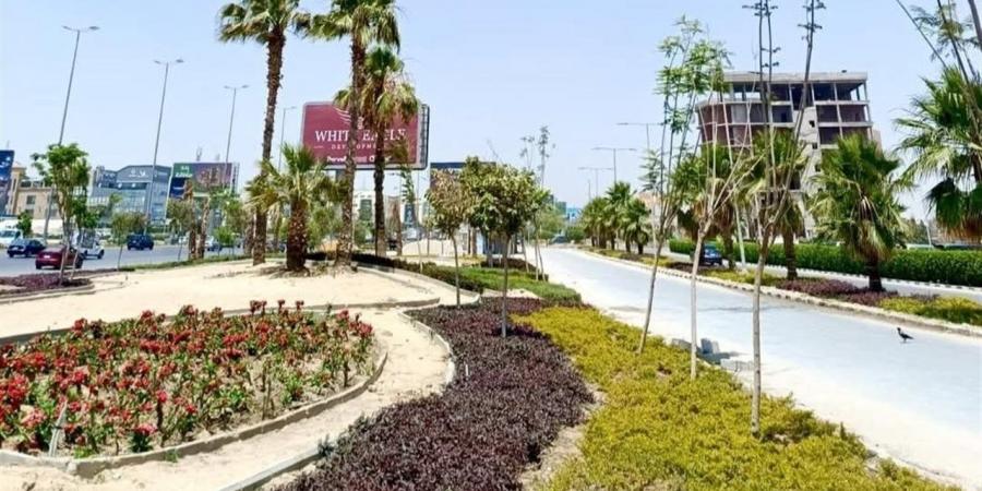 أعمال مكثفة لرفع كفاءة المسطحات الخضراء بمدينة 6 أكتوبر قبل عيد الأضحى