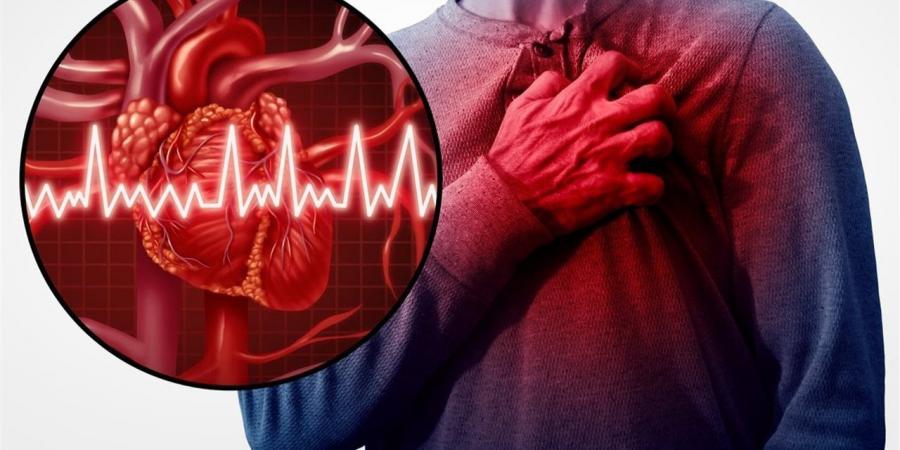 إنتاج "قلب مصغر" يفتح آفاق علاجات بيولوجية لاضطرابات القلب
